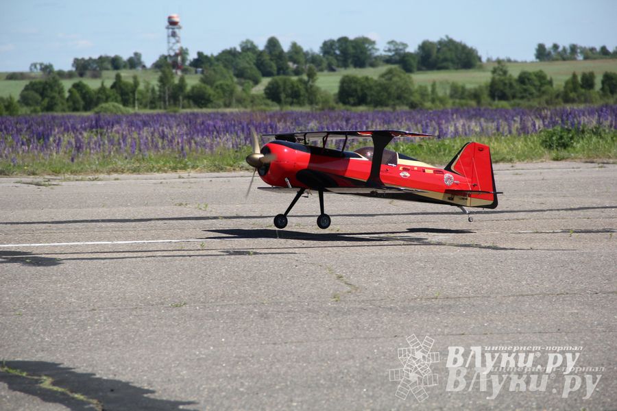 В Великих Луках прошел Фестиваль авиамодельного спорта (фото)