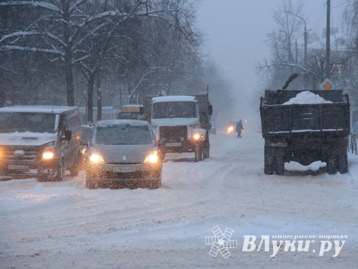 Великие Луки заносит снегом (фото)