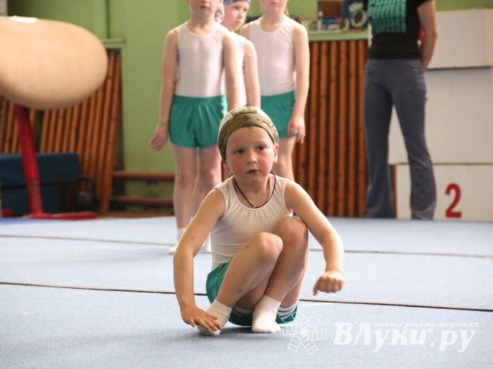 В Великих Луках прошло первенство по спортивной гимнастике (ФОТО)