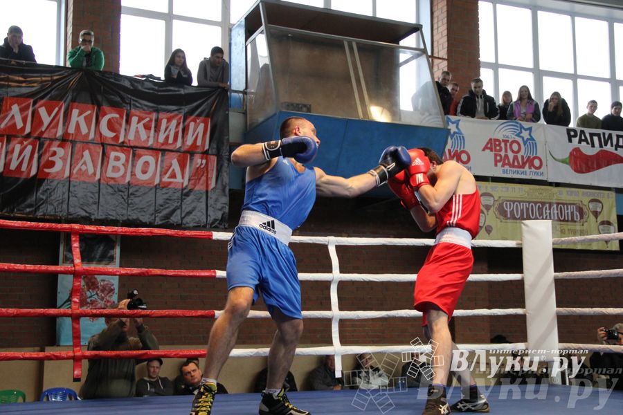 16-й Международный турнир по боксу (фото)