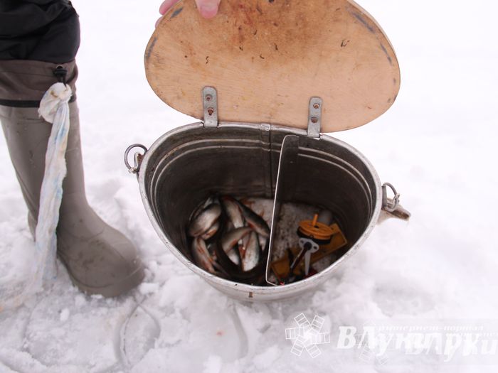 Подведены итоги Открытого чемпионата Великих Лук по рыболовному спорту (фото)
