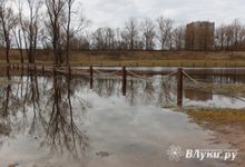 Прогноз погоды в Великих Луках на 5 марта