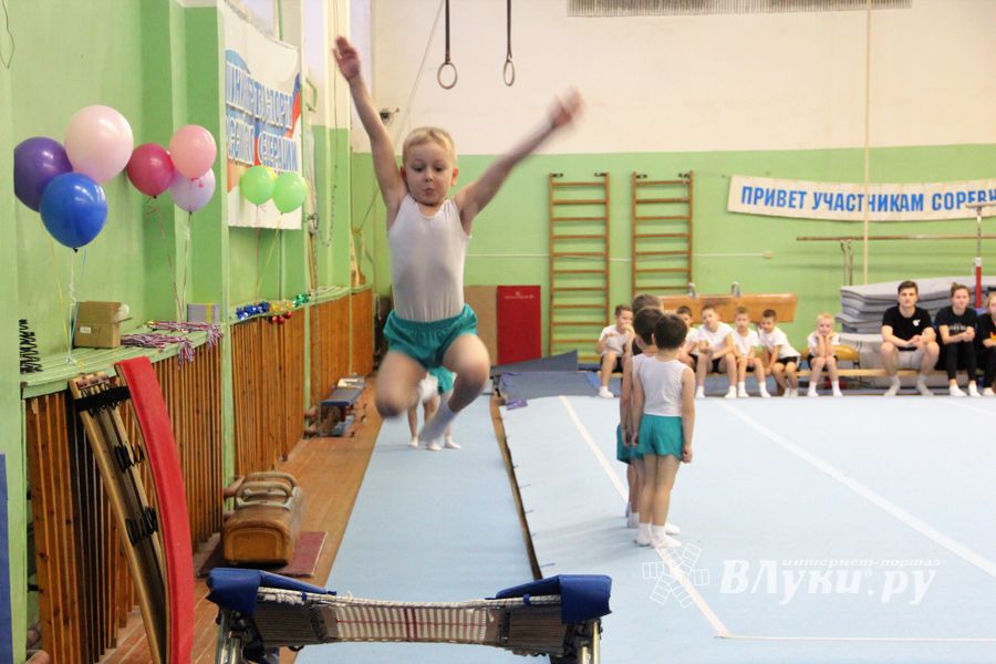 В Великих Луках прошло Первенство города по командной гимнастике (ФОТО)