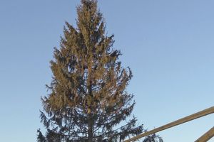 Город готовится к Новому году