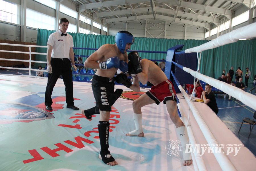 В Великих Луках прошел Кубок области по кикбоксингу (ФОТО)