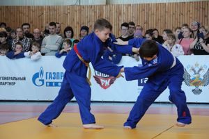 В Великих Луках прошли соревнования по дзюдо (ФОТО)