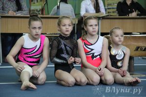 В Великих Луках прошел турнир по спортивной гимнастике (фото)