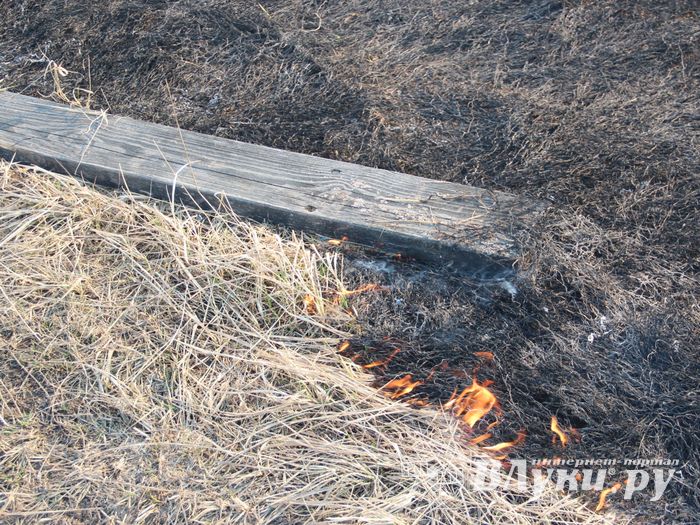 Великолукский район полыхает (ФОТО; ВИДЕО)