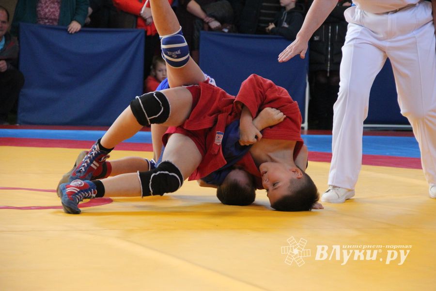 Великолучане завоевали награды турнира по самбо «Память» (ФОТО)