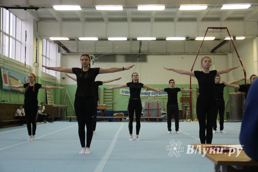 В Великих Луках проходят соревнования по гимнастике (ФОТО)