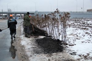 Назначена дата открытия путепровода в Великих Луках (ФОТО)