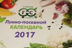 В ДК ЛК открылась 7-я Великолукская универсальная выставка (ФОТО, ВИДЕО)