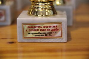 Церемония награждения открытого первенства города по самбо на призы мастера спорта СССР Марковского Геннадия Петровича (ФОТО)