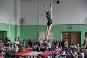 В Великих Луках состоялось Первенство по командной гимнастике (фото)