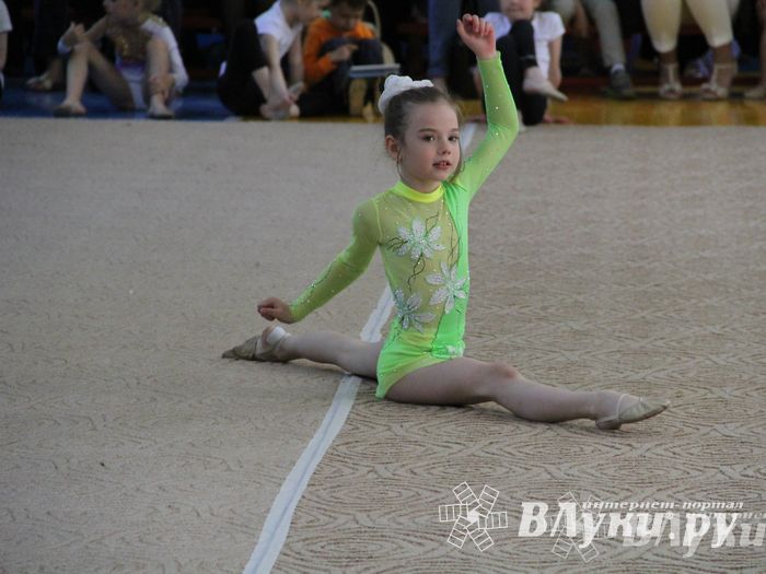 В Великих Луках прошло Первенство по художественной гимнастике (фото)