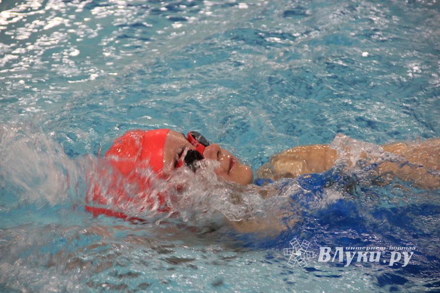 Соревнования по плаванию на призы Деда Мороза прошли в Великих Луках (ФОТО)