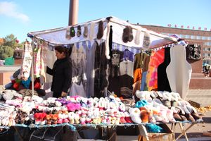 Торговая ярмарка «Осень-2016» прошла в Великих Луках (ФОТО)