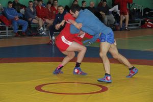 В Великих Луках прошел турнир по самбо, посвященный подвигу Александра Матросова (ФОТО)