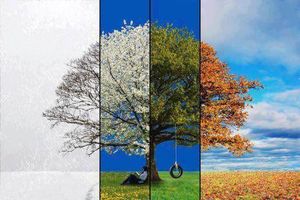 Подведены итоги весенней части фотомарафона «Любимый уголок родного города»