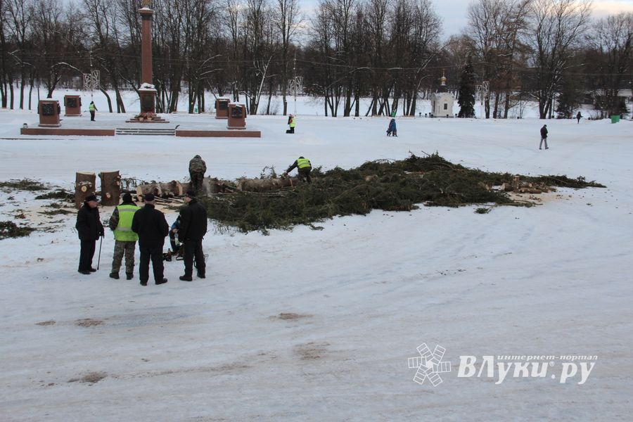 Главная городская ёлка отправилась на свалку (ФОТО)