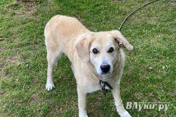 Фото: © ВЛуки.ру