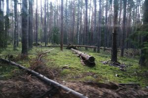 © ВЛуки.ру