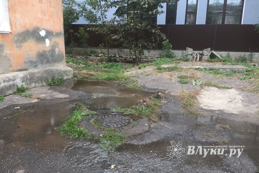 В Великих Луках забил «гейзер», по словам коммунальщиков, «рядовая ситуация» (ФОТО+ЗВУК)