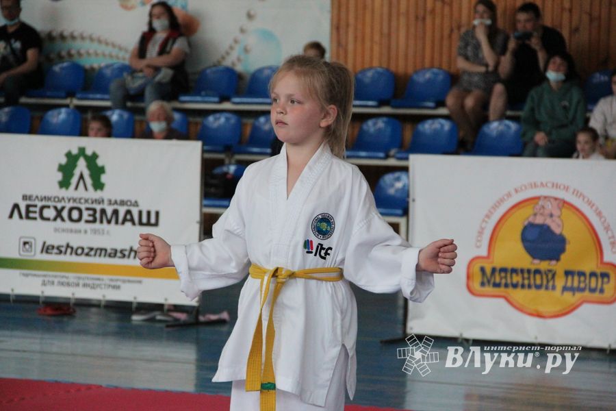 В Великих Луках состоялся Чемпионат и первенство Псковской области по тхэквондо МФТ (ФОТО)