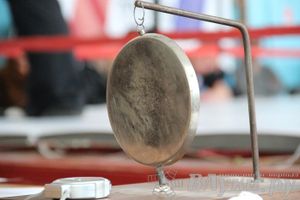 Чемпионат Псковской области по ММА