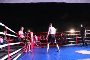 В Великих Луках прошли бои по смешанным боевым единоборствам ММА (фото)