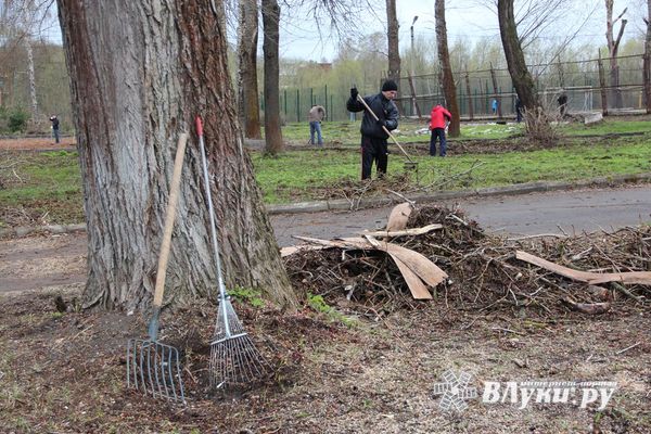 Великолучан приглашают на осенние субботники