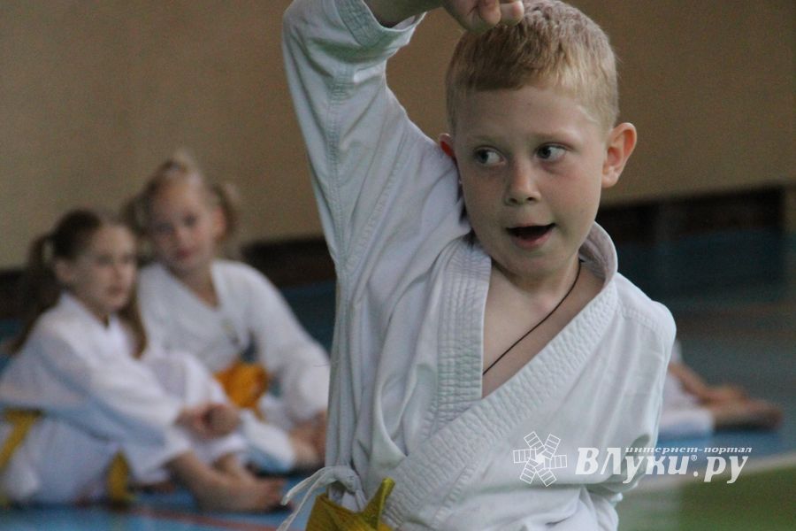 Турнир по каратэ