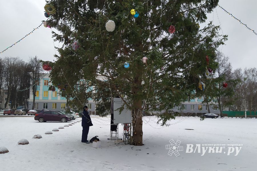 Главную новогоднюю ёлку в Великих Луках нарядили к праздникам (ФОТО)