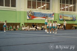 В Великих Луках состоялось Первенство по командной гимнастике (фото)
