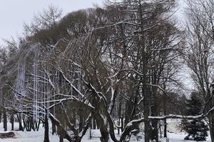 Великие Луки продолжают украшать к Новому году