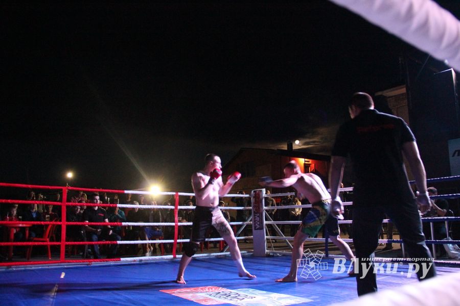 В Великих Луках прошли бои по смешанным боевым единоборствам ММА (фото)