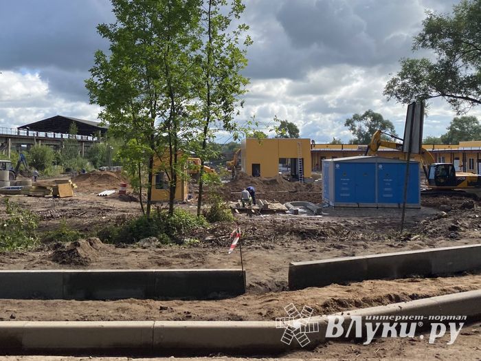 Начались работы по благоустройству территории  вокруг отделения областной инфекционной больницы (ФОТО)