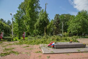 Небезразличные великолучане помогают убрать город после урагана (ФОТО)