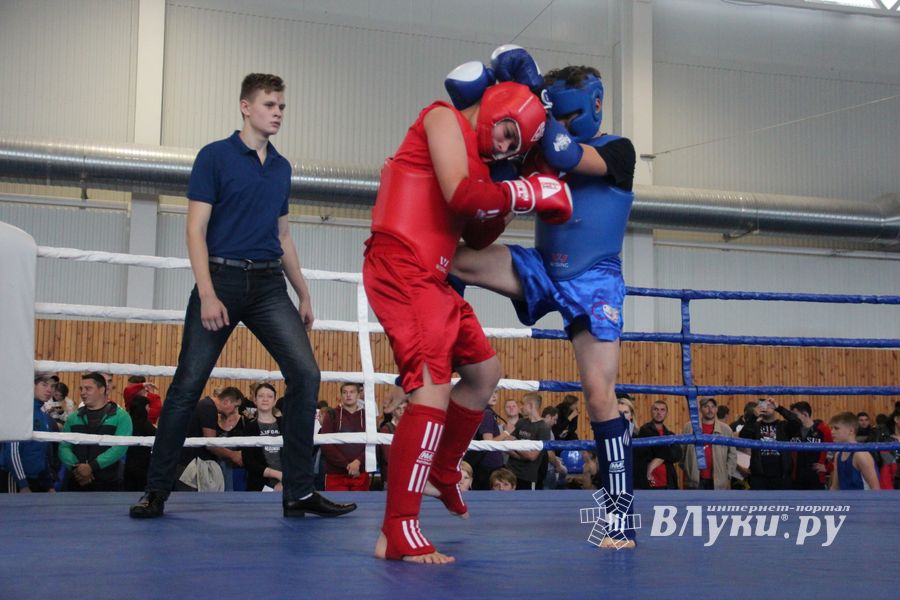 1-й Фестиваль боевых искусств состоялся в Великих Луках  (ФОТО)