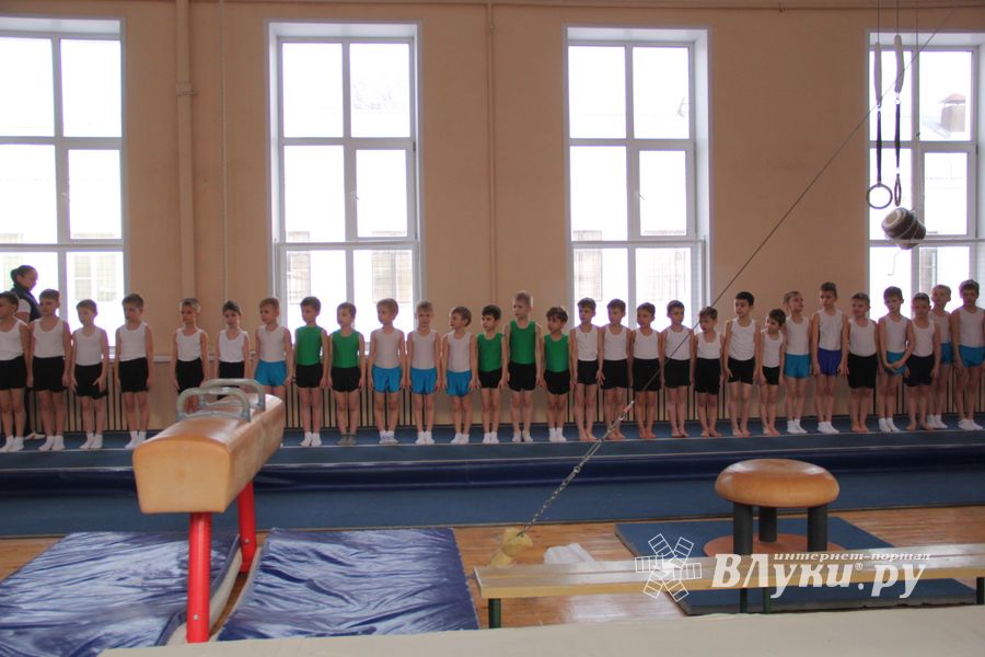 В ДЮСШ «Атлетика» прошли соревнования по спортивной гимнастике (ФОТО)