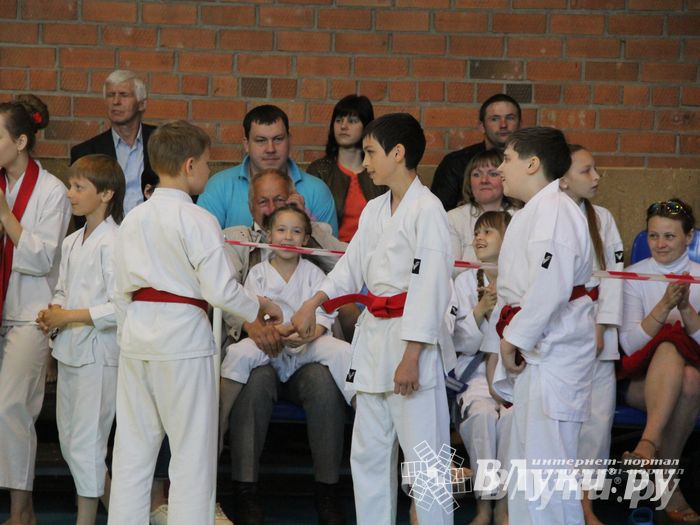 Великолучане стали победителями турнира по каратэ «Неприкосновенный запас, дети — Отчизны 2015» (фото)