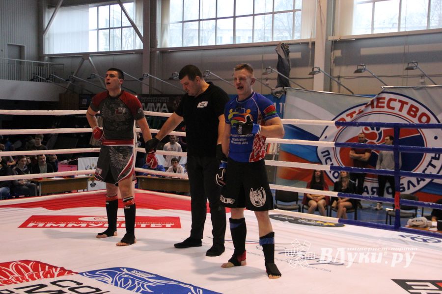 Открытый кубок по смешанному боевому единоборству ММА прошел в Великих Луках (ФОТО)
