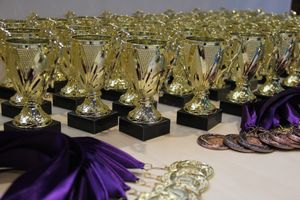 ​В Великих Луках проходит Открытое Первенство по художественной гимнастике (ФОТО) (0+)