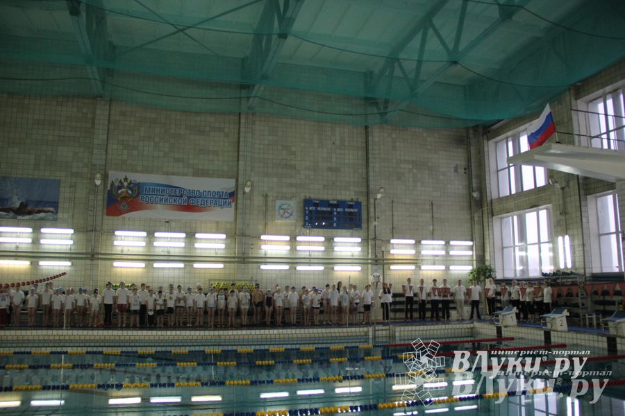 В Великих Луках прошло Первенство по плаванию (фото)