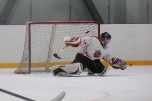 Матч НХЛ прошел в великолукском «Айсберге» (ФОТО)
