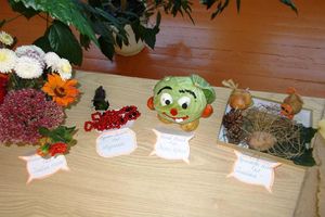  Осенний праздник «День Урожая» прошел в д. Борки (фото)