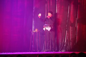 Состоялся концерт братьев Сафроновых «Империя иллюзий» (фото)