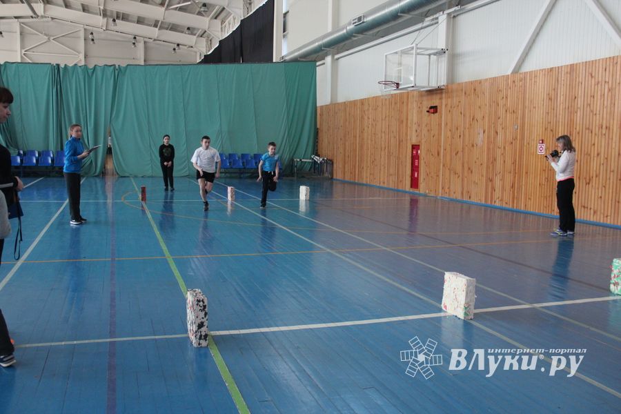 В Великих Луках прошёл фестиваль ГТО (ФОТО)