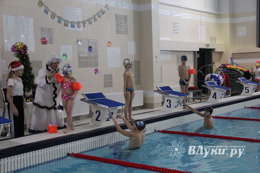 В Великолукском Айсберге прошли соревнования по плаванию на призы Деда Мороза (ФОТО)