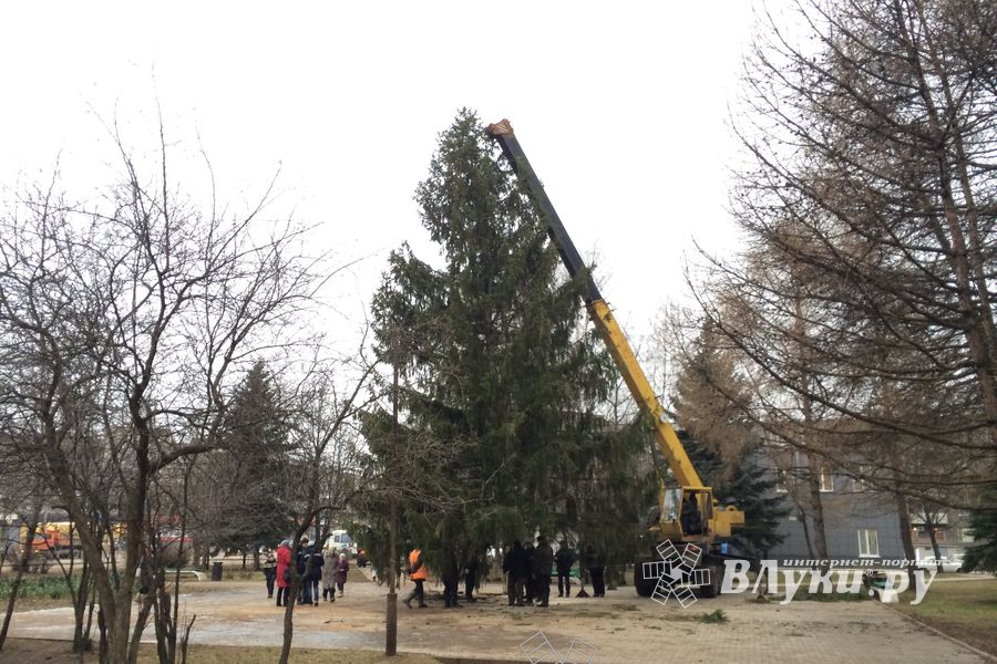 В Великих Луках установили вторую городскую ёлку (ФОТО)